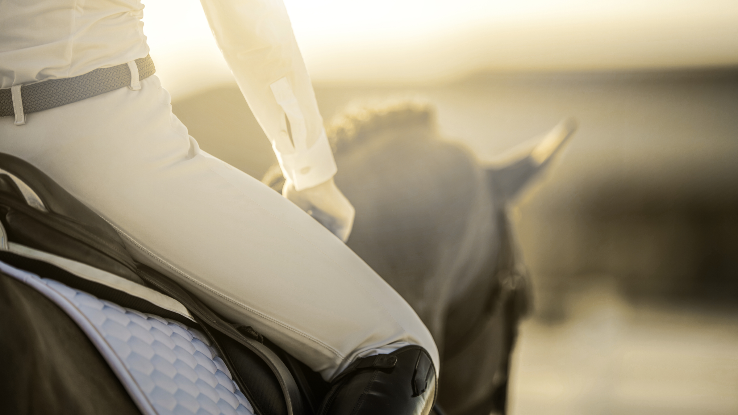 Close-up of an equestrian rider in white breeches on horseback in golden sunlight